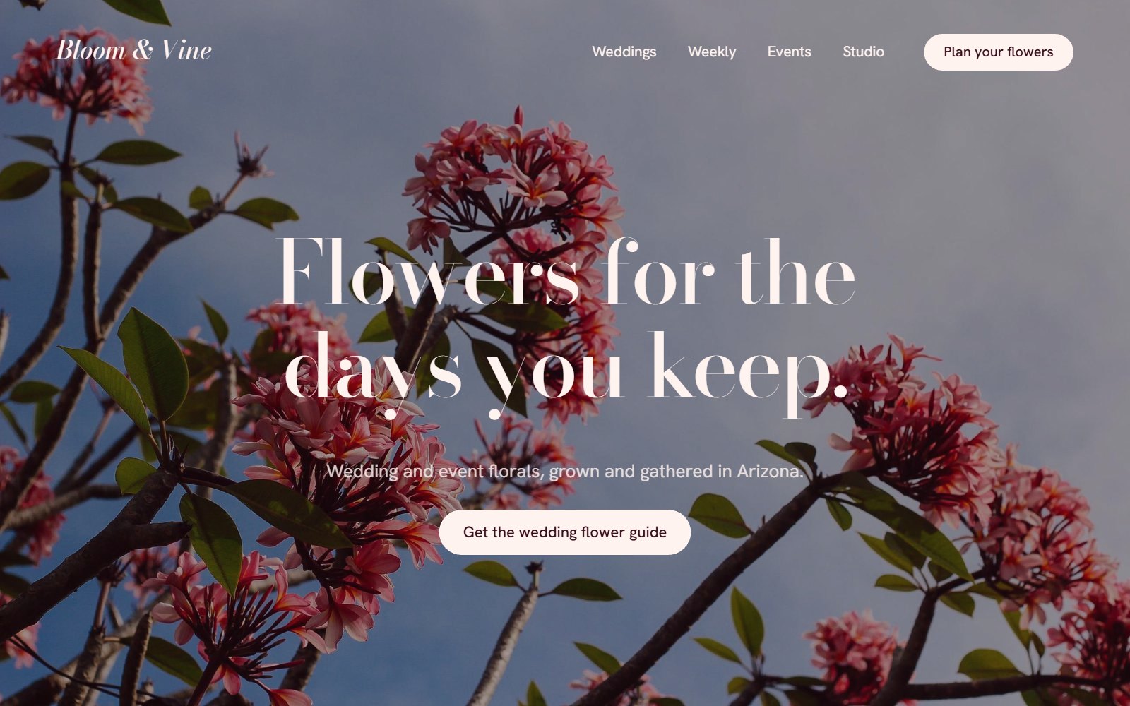 Home page for Bloom & Vine florist with pink blossom against a blue sky